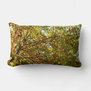 Coussin Rectangle Érable changeant de couleur en vert et or à l'auto