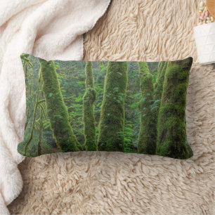 Coussin Rectangle Érables à grandes feuilles & fougères État de Wa