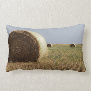 Coussin Rectangle Erick, l'Oklahoma, Etats-Unis - itinéraire 66