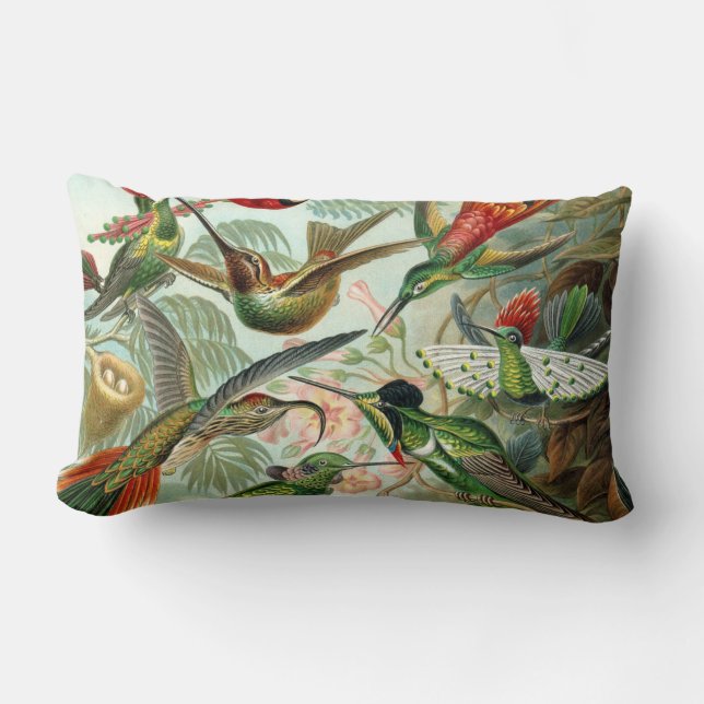Coussin Rectangle Ernst Haeckel Hummingbirds - Art Formes de la natu (Recto)