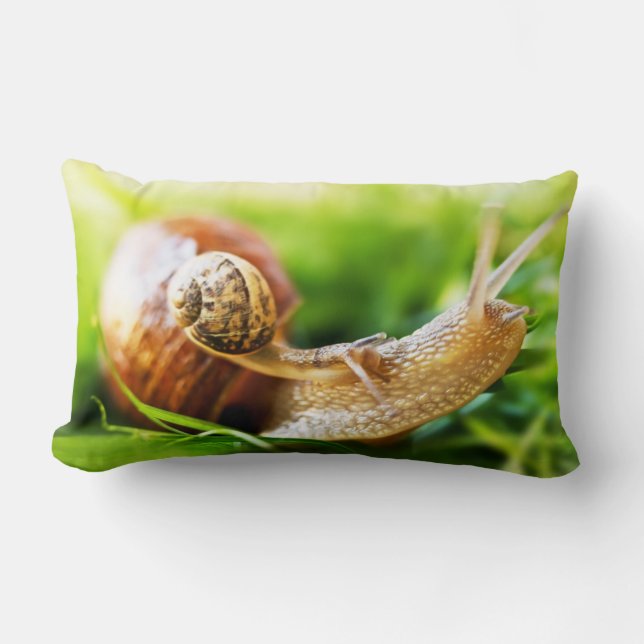 Coussin Rectangle Escargots (Recto)