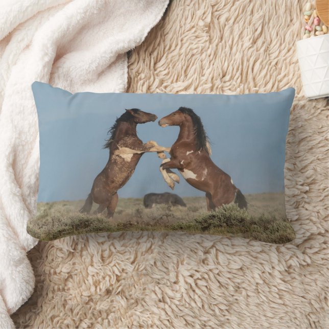 Coussin Rectangle Étalons de chevaux sauvages se battant (Couverture)