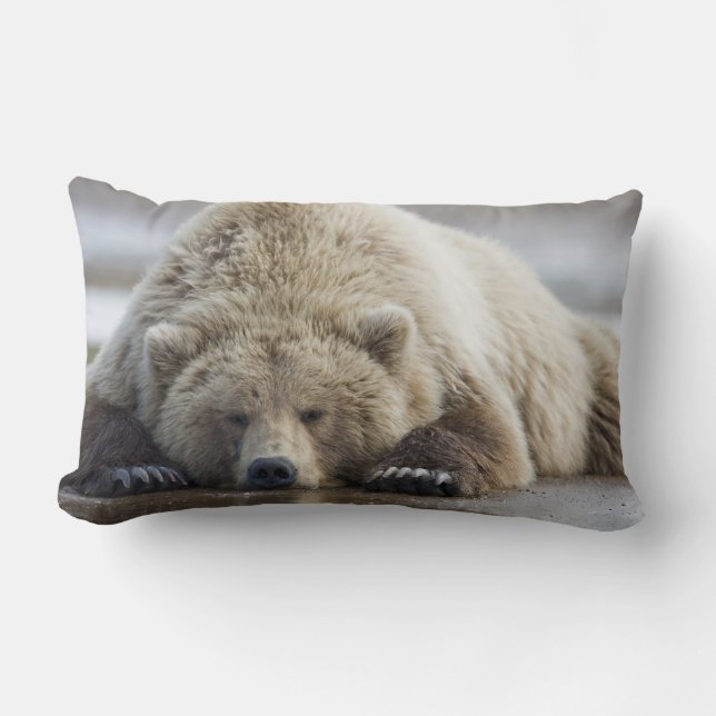 Coussin Rectangle États-Unis, Alaska, Parc national de Katmai, Ours  (Recto)