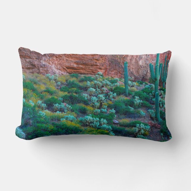 Coussin Rectangle États-Unis, Arizona. Flore du désert (Recto)