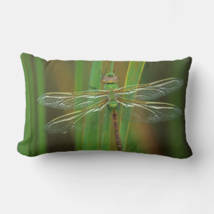 Coussin Rectangle États-Unis, Géorgie. Libellule darner vert sur des