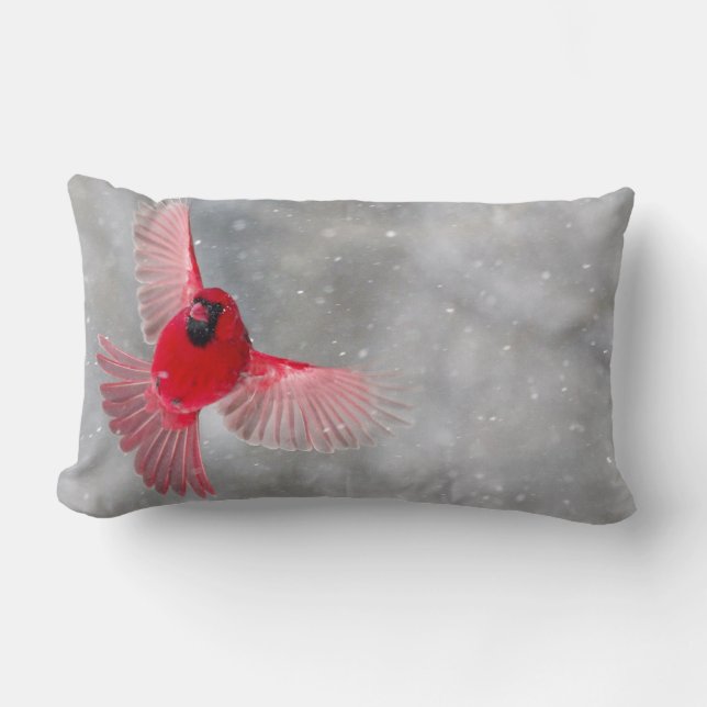 Coussin Rectangle États-Unis, Indiana, Indianapolis. Un cardinal mâl (Recto)
