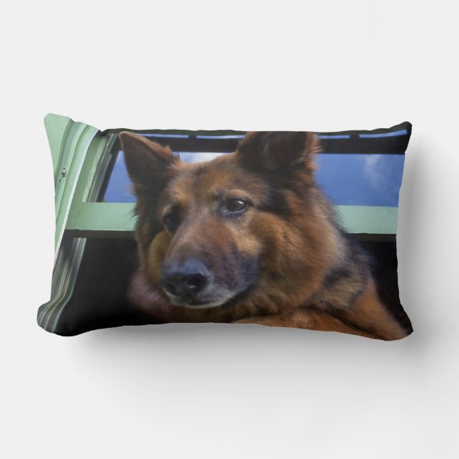 Coussin Rectangle États-Unis, Oregon, Portland. Griff le long poil (Recto)