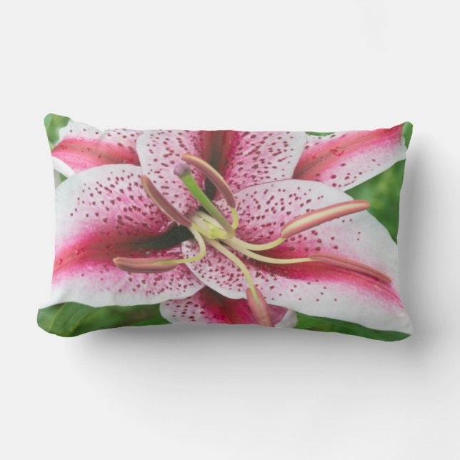 Coussin Rectangle États-Unis, Washington, Bellevue, Lily (Recto)