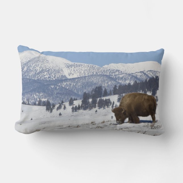 Coussin Rectangle États-Unis, WY, Parc national de Yellowstone, Biso (Recto)
