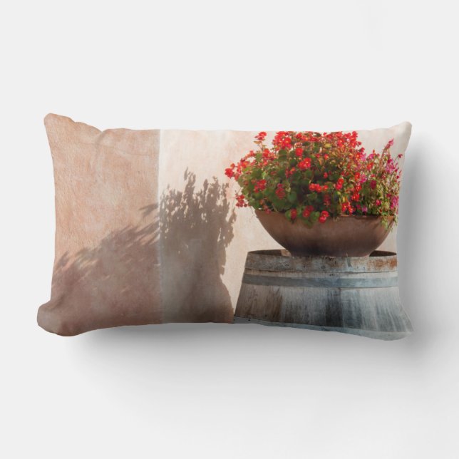 Coussin Rectangle Europe, Italie, Toscane. Pot de fleurs (Recto)