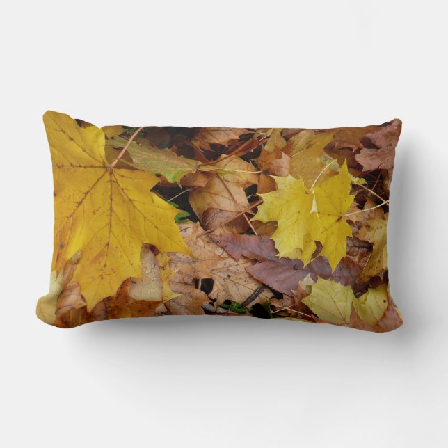 Coussin Rectangle Fallen Maple Feuille Jaune Automne Nature (Recto)