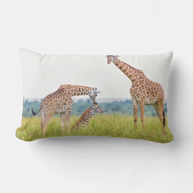 Coussin Rectangle Famille de girafe des images | de Getty (Recto)