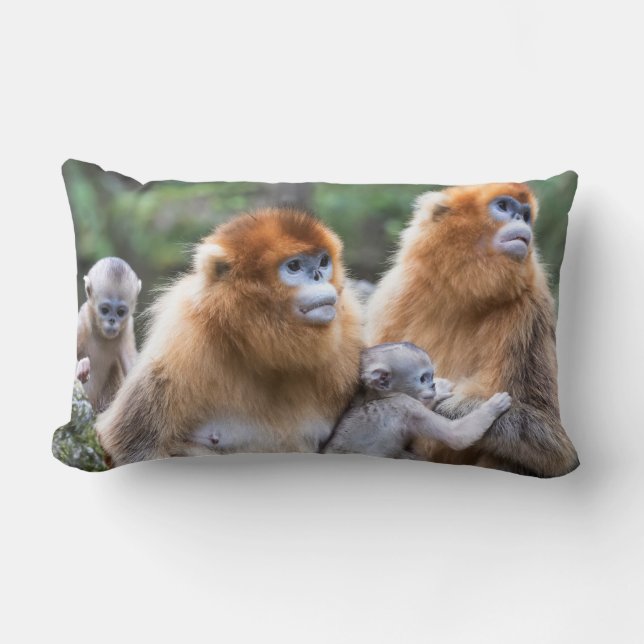 Coussin Rectangle Famille de singes à nez doré (Recto)