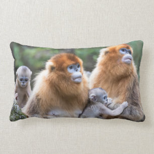 Coussin Rectangle Famille de singes à nez doré