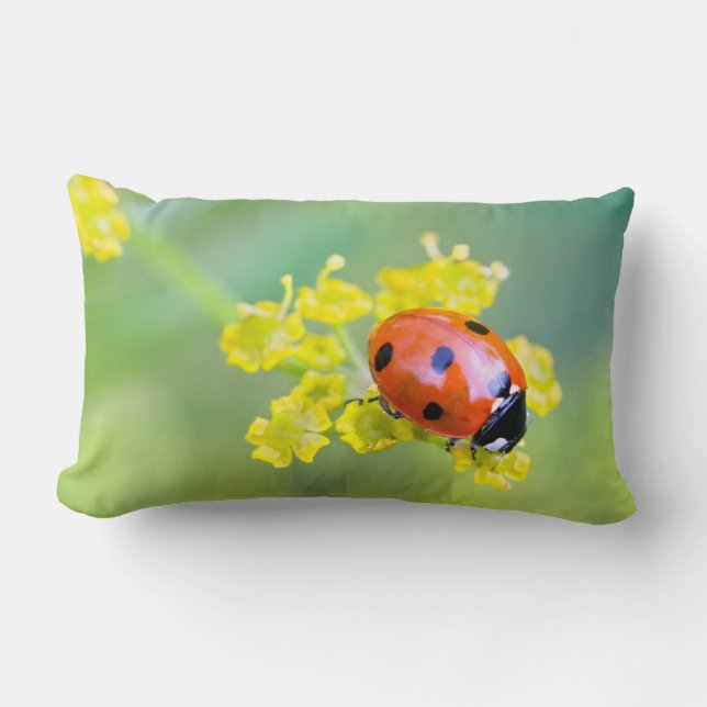 Coussin Rectangle femme au sommet (Recto)