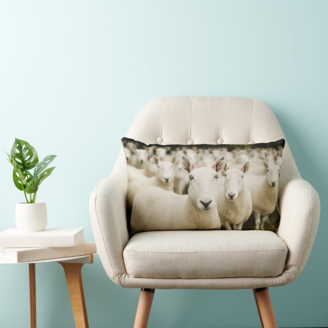 Coussin Rectangle Fermes | Troupeau de moutons (Chaise)