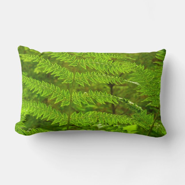 Coussin Rectangle Fern Fronds III Nature verte Botanique (Recto)