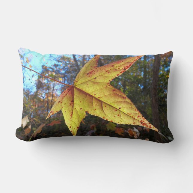 Coussin Rectangle Feuille de Liquidambar Glowing dans la Forêt (Recto)
