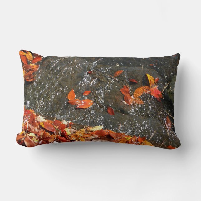 Coussin Rectangle Feuilles d'automne dans la cascade I Photographie  (Recto)