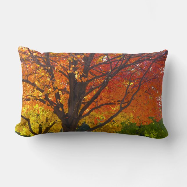 Coussin Rectangle Feuilles d'automne de la photo jaune et orange (Recto)