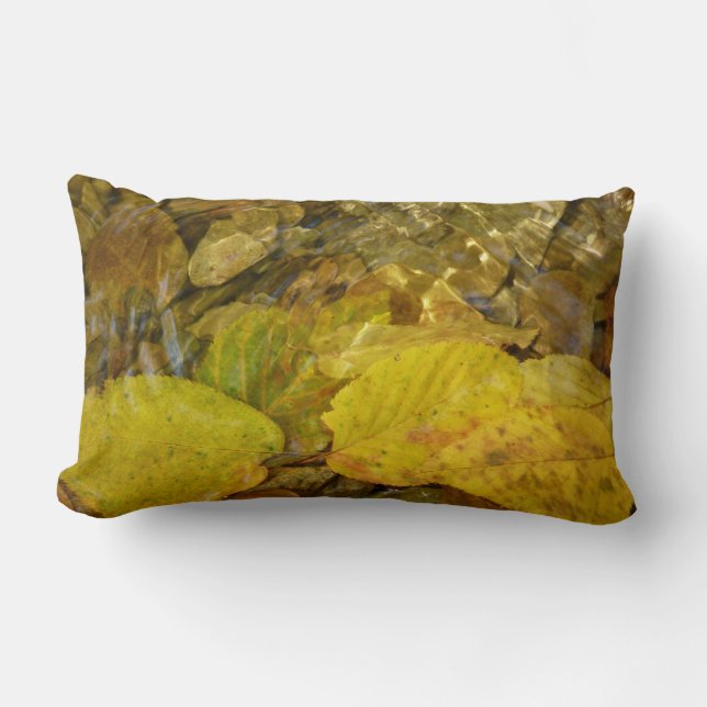 Coussin Rectangle Feuilles de bouleau jaune dans le ruisseau (Recto)
