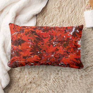 Coussin Rectangle Feuilles japonais de l'érable rouge