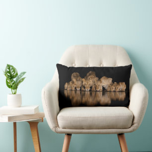 Coussin Rectangle Fierté de lions buvant au point d'eau la nuit
