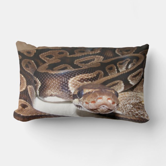 Coussin Rectangle Fiona dit bonjour (Recto)