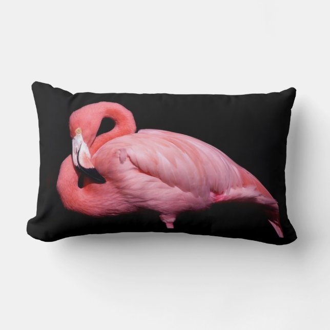 Coussin Rectangle Flamant rose rose sur noir (Recto)