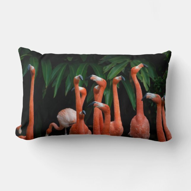 Coussin Rectangle Flamants roses en Paradise (Recto)