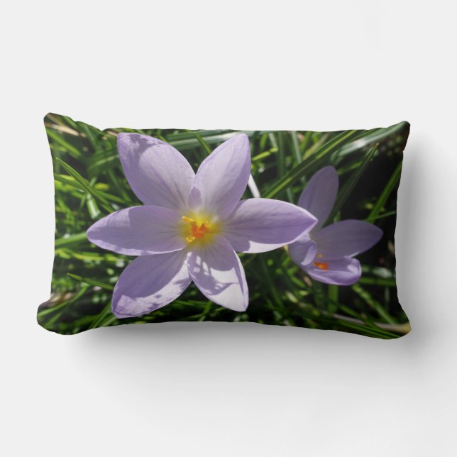 Coussin Rectangle Fleur de jardin violette claire jolie et fraîche. (Recto)
