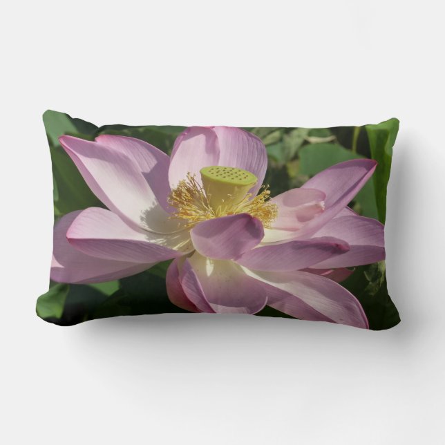 Coussin Rectangle Fleur de Lotus rose II Floral d'été (Recto)