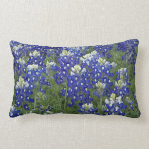 Coussin Rectangle Fleur d'état du Texas de champ de Bluebonnets