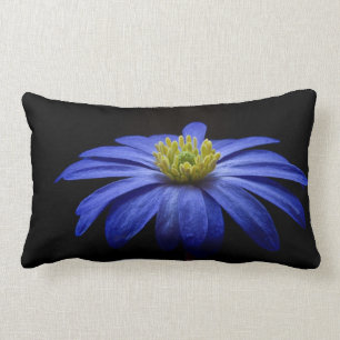 Coussin Rectangle Fleur Gerbera Blue Daisy sur un arrière - plan noi