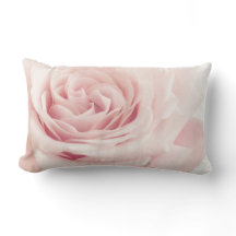 Fleur rose rose-clair - fleurs de roses florales
