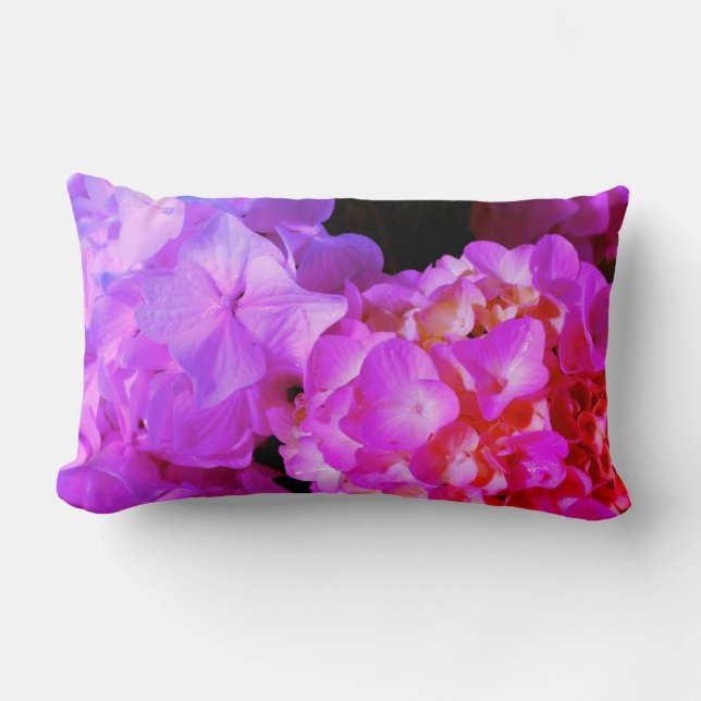 Coussin Rectangle Fleur rose violet élégant Hydrangeas (Recto)