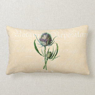 Coussin Rectangle Fleur sauvage d'antiquité de chardon d'écossais 