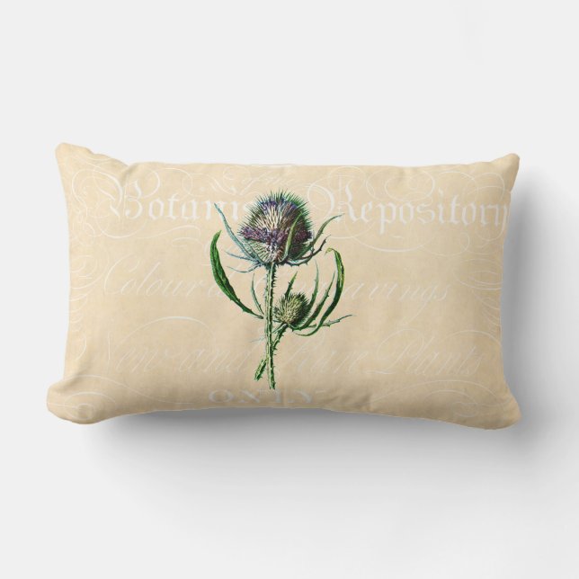 Coussin Rectangle Fleur sauvage d'antiquité de chardon d'écossais du (Recto)