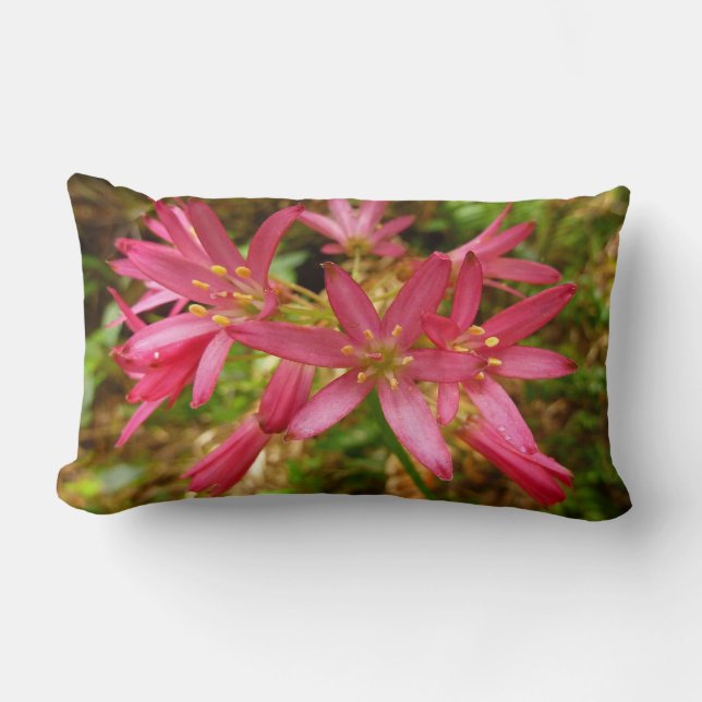 Coussin Rectangle Fleurs de Clintonia Rouge à Redwoods (Recto)