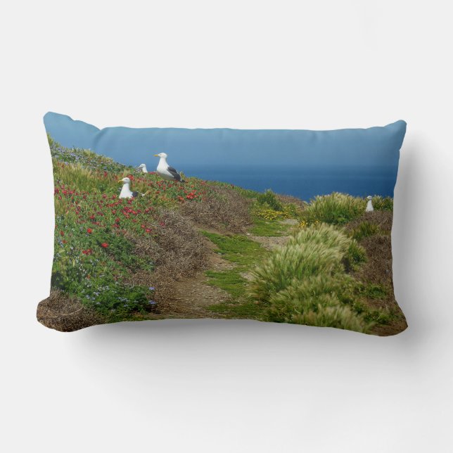 Coussin Rectangle Fleurs et mouettes sur l'île d'Anacapa (Recto)