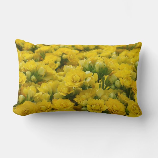 Coussin Rectangle Fleurs Jaunes Vibrantes Belle photo nature (Recto)
