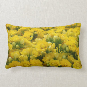 Coussin Rectangle Fleurs Jaunes Vibrantes Belle photo nature
