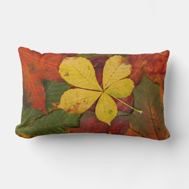 Coussin Rectangle Folithe d'automne (Recto)