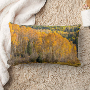 Coussin Rectangle Forêt nationale de Gunnison