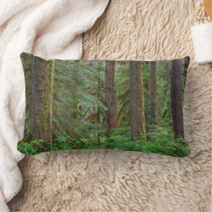 Coussin Rectangle Forêt nationale de Willamette   Oregon
