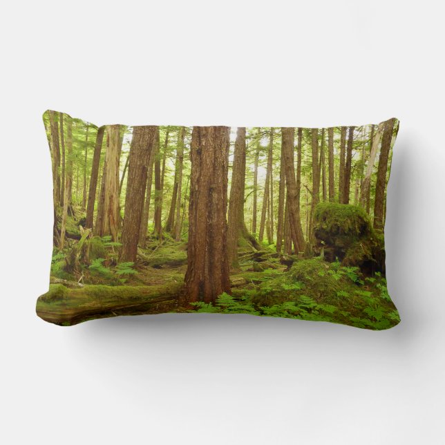 Coussin Rectangle Forêt pluviale tempérée de l'Alaska (Recto)