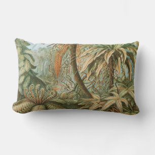 Coussin Rectangle Fougères, Filicinae Laubfarne par Ernst Haeckel