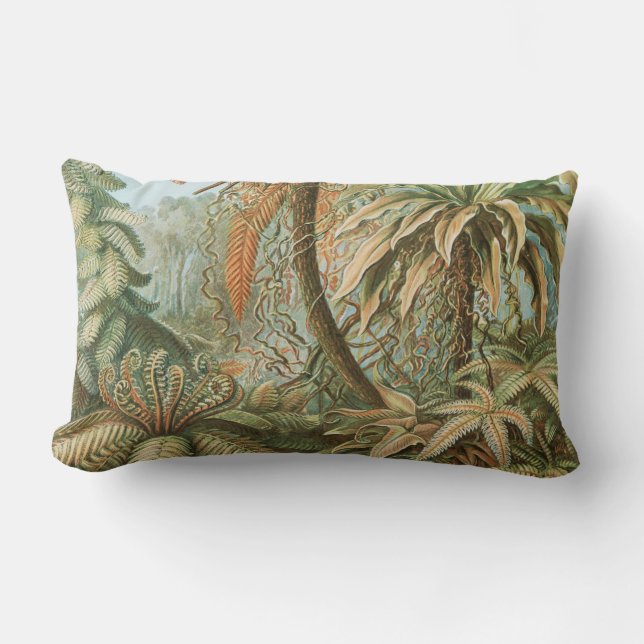 Coussin Rectangle Fougères, Filicinae Laubfarne par Ernst Haeckel (Recto)
