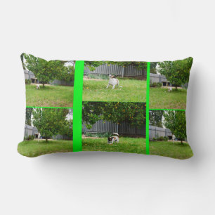 Coussin Rectangle Fox Terrier Photo Collage, Lumbar Cushion.