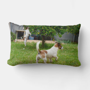 Coussin Rectangle Fox Terrier Temps de jeu Lumbar Cushion